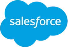Salesforce logo; blue cloud shape with salesforce text in white, symbolizing CRM solutions and cloud computing.